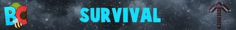 Binstercraft Minecraft Java server banner