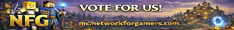 Networkforgamers Minecraft Java server banner