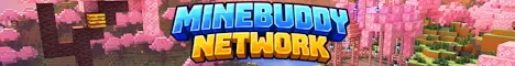 MineBuddy Minecraft Java server banner
