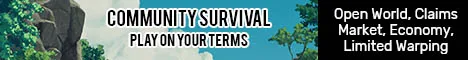 Mcverse Minecraft Java server banner