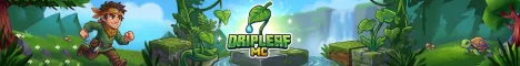 Moddedmc Minecraft Java server banner