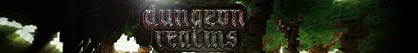 Dungeonrealms Minecraft Java server banner