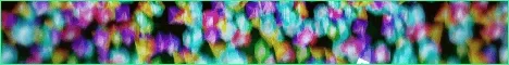 Rodion Network Minecraft Java server banner