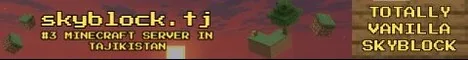 Skyblock Minecraft Java server banner