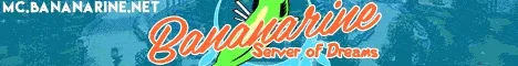 Paradox Prison Minecraft Java server banner