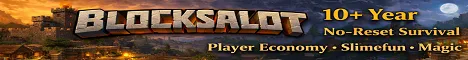 Blocksalot Minecraft Java server banner