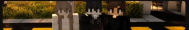 donersmp Minecraft Java server banner
